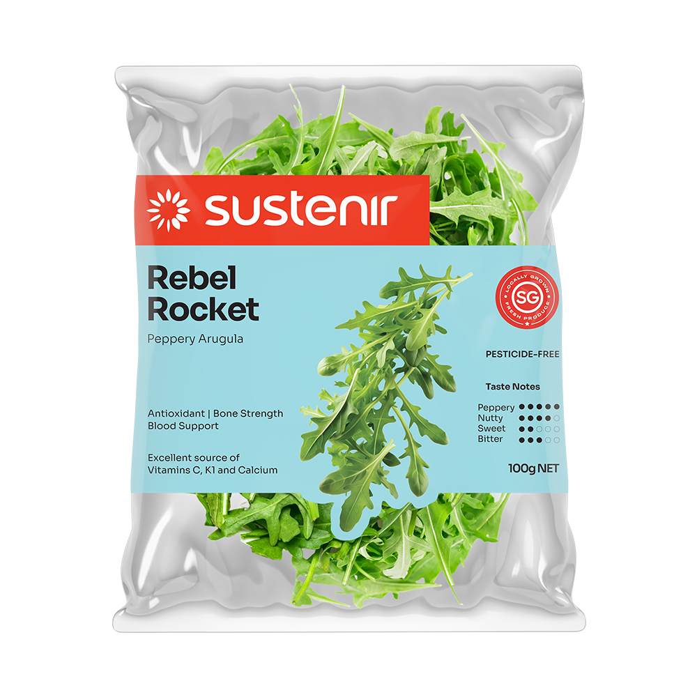 REBEL ROCKET
